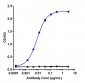 Anti-TNFRSF9 / 4-1BB / CD137 Reference Antibody (urelumab)