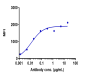 Anti-TNFRSF9 / 4-1BB / CD137 Reference Antibody (urelumab)