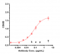 Anti-IL-6 / IFNb2 Reference Antibody (sirukumab)