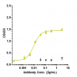 Anti-IL-6 / IFNb2 Reference Antibody (Chugai SK2)