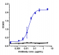 Anti-NKG2D / CD314 Reference Antibody (tesnatilimab)