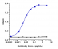 Anti-NRP1 / VEGF165R / CD304 Reference Antibody (vesencumab)