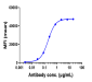 Anti-NRP1 / VEGF165R / CD304 Reference Antibody (vesencumab)