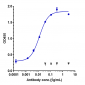 Anti-PDCD1 / PD-1 / CD279 Reference Antibody (serplulimab)