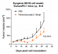 Anti-PDCD1 / PD-1 / CD279 Reference Antibody (pembrolizumab)