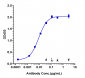 Anti-PDCD1 / PD-1 / CD279 Reference Antibody (cemiplimab)