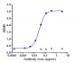 Anti-B7-H1 / PD-L1 / CD274 Reference Antibody (sugemalimab)