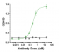 Anti-TGFb1 Reference Antibody (M7824)