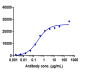 Anti-CD47 Reference Antibody (lemzoparlimab)