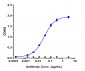 Anti-FcRn (FCGRT & B2M) Reference Antibody (orilanolimab)