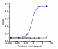 Anti-TSLP Reference Antibody (tezepelumab)