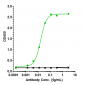 Anti-IL-6 / IFNb2 Reference Antibody (elsilimomab)