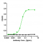 Anti-IL-6 / IFNb2 Reference Antibody (olokizumab)