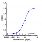 Anti-IL-6 / IFNb2 Reference Antibody (CSTRI patent anti-IL-6)