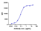 Anti-CDH3 / P-cadherin Reference Antibody (PF-03732010)