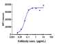 Anti-NKG2A / CD94 Reference Antibody (monalizumab)