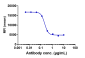 Anti-NKG2A / CD94 Reference Antibody (monalizumab)