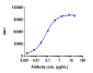 Anti-CD20 Reference Antibody (ofatumumab)