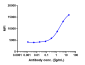 Anti-CB1 / CNR1 Reference Antibody (GFB-024)