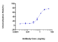 Anti-FOLR1 / FRA Reference Antibody (farletuzumab)