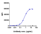 Anti-GCGR Reference Antibody (crotedumab)