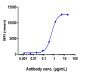 Anti-FGFR2 / CD332 Reference Antibody (bemarituzumab)