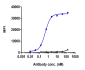 Anti-IL-6Ra / CD126 Reference Antibody (tocilizumab)