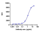 Anti-CTLA-4 / CD152  Reference Antibody (ipilimumab)