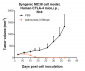 Anti-CTLA-4 / CD152  Reference Antibody (ipilimumab)