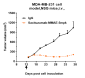 Anti-TROP2 Reference Antibody (Sacituzumab-MMAE)