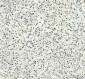 Anti-Phospho-AKT1 (T450) Rabbit Monoclonal Antibody