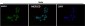 Anti-CTCF Rabbit Monoclonal Antibody