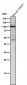Anti-Dnmt3b Rabbit Monoclonal Antibody Rabbit Monoclonal Antibody