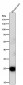 Anti-C Reactive Protein CRP Rabbit Monoclonal Antibody