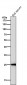 Anti-C Reactive Protein CRP Rabbit Monoclonal Antibody
