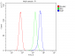 Anti-FHIT Antibody Picoband™ (monoclonal, 26H7)