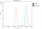 Anti-Emerin EMD Antibody Picoband™ (monoclonal, 5A10)