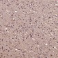 Anti-EGFR (ErbB 1) Monoclonal Antibody