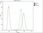 Anti-GSTM1 Antibody Picoband™ (monoclonal, 11F2)