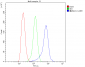 Anti-CASR Antibody Picoband™ (monoclonal, 11E9)