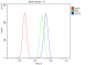 Anti-AKT2 Antibody Picoband™ (monoclonal, 10C6)