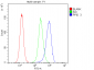 Anti-PPID Antibody Picoband™ (monoclonal, 5A6)