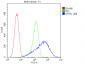 Anti-Optineurin/OPTN Antibody Picoband™ (monoclonal, 3D8)