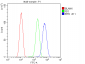 Anti-EIF6 Antibody Picoband™ (monoclonal, 2I11)