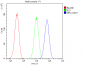Anti-NFIA Antibody Picoband™ (monoclonal, 16H11)