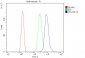 Anti-Cofilin 2/CFL2 Antibody Picoband™ (monoclonal, 8C13)