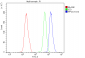 Anti-PPCS Antibody Picoband™ (monoclonal, 7G13)