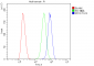 Anti-PPCS Antibody Picoband™ (monoclonal, 7G13)