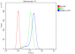 Anti-RAB27A Antibody Picoband™ (monoclonal, 2F5)