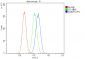 Anti-RAB27A Antibody Picoband™ (monoclonal, 2F5)
